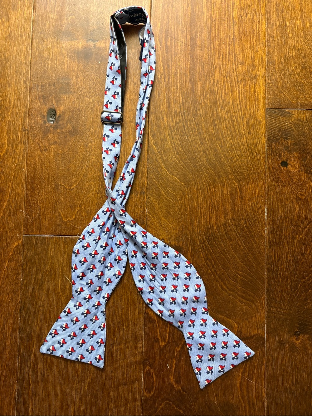 Vineyard Vines Boys Light Blue Self-Tie Bow Tie with Red Motif